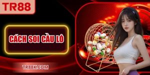 Cách Soi Cầu Lô Chuẩn Xác Dễ Áp Dụng Nhất Cho Tân Thủ